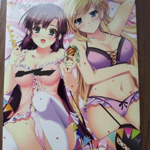 18禁畫冊 PeasSoft 10th H Collection（3）
