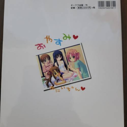 18禁 思春期公式ビジュアルファンブック(19)