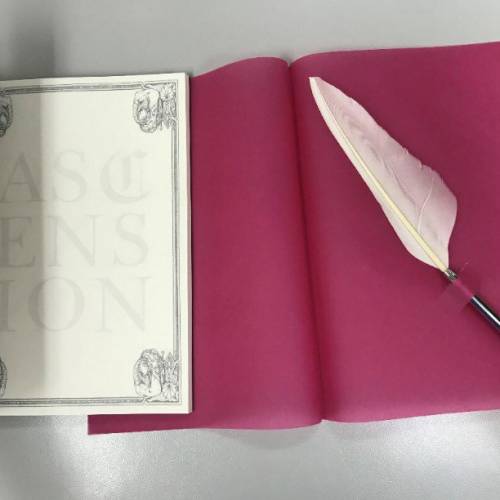 THE TOUR OF MISIA 2007 - ASCENSION (初回限定版) (日本版)