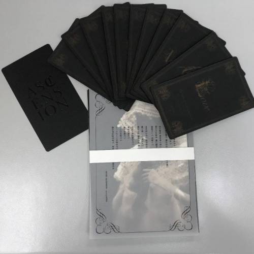 THE TOUR OF MISIA 2007 - ASCENSION (初回限定版) (日本版)