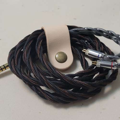 BSA 瘦佬28mart不能說2，2pin 4.4升級線