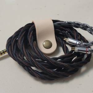 BSA 瘦佬28mart不能說2，2pin 4.4升級線