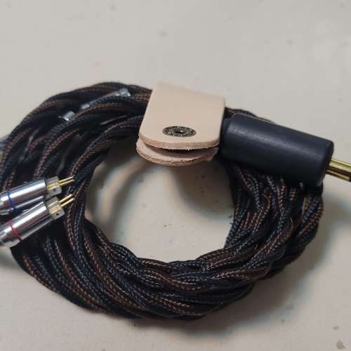 BSA 瘦佬28mart不能說2，2pin 4.4升級線