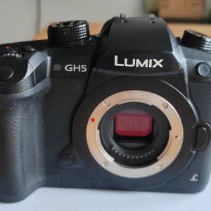 GH5連12-35F2. 8鏡