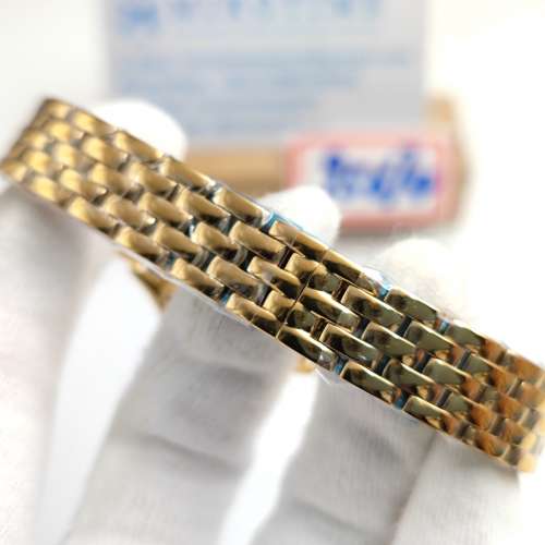 Panthère Secrete Ladies 22mm watch