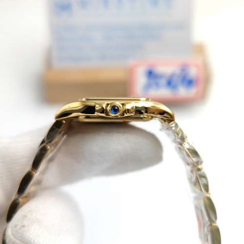 Panthère Secrete Ladies 22mm watch