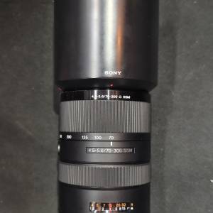 Sony 70-300/4.5-5.6 SSM FOR SONY A （no for Sony E）發霉鏡