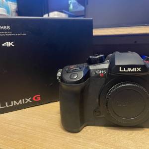 Panasonic Lumix DMC-GH5S