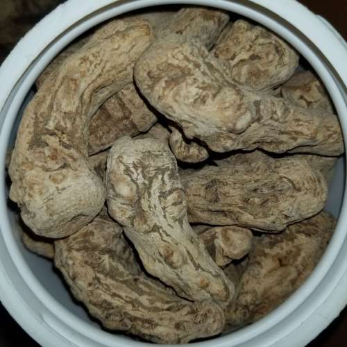 ***一套價 當歸頭 1200 克 Chinese Angelica 1200 grams 1.2kg Total One Set Price