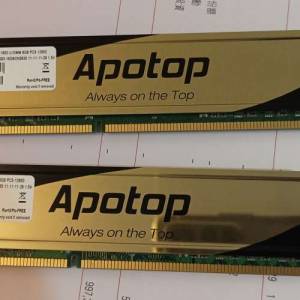 APOTOP DDR3 8GB X 2條