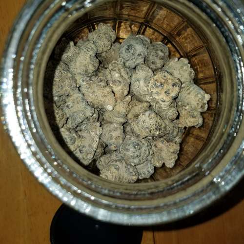 中藥材 500克 Chinese medicinal materials 500 grams