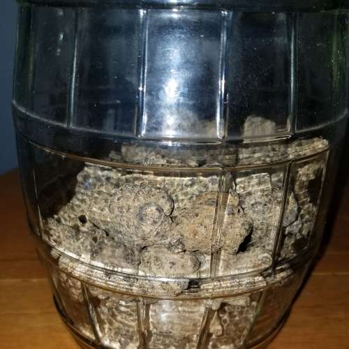 中藥材 500克 Chinese medicinal materials 500 grams