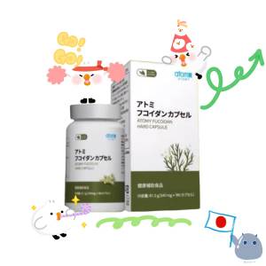 ATOMY 褐藻醣膠膠囊/海藻萃取物 180粒 日本