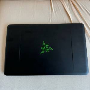 Razer Blade Stealth 13” (i7-8代/16GB/256GB SSD)