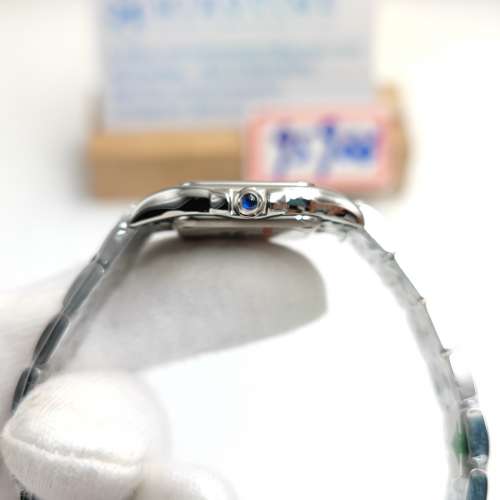 Panth&egrave;re Secrete Ladies 22mm SS watch