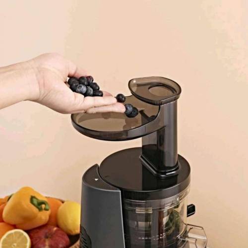 💯全新Hurom惠人HAA慢磨果汁機多功能冷壓慢磨原汁機 全球銷量第一慢磨原汁 機品牌*...