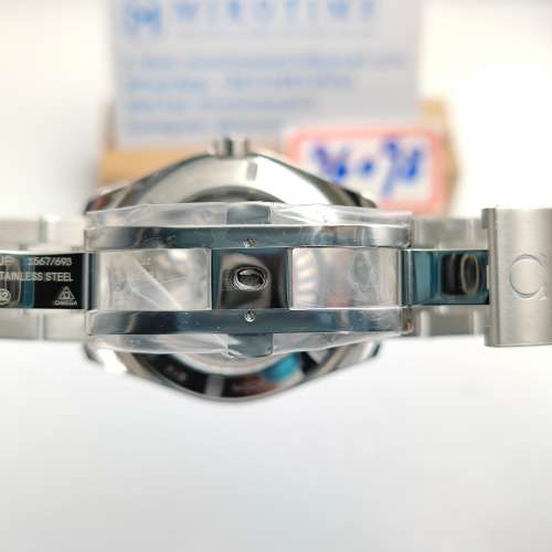 Aqua Terra 150M Master Chronometers watch