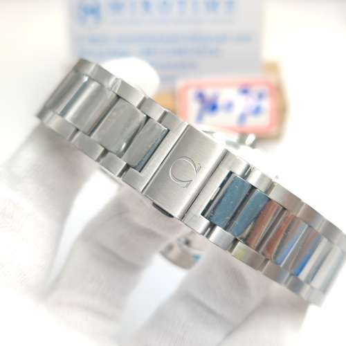 Aqua Terra 150M Master Chronometers watch