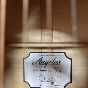 Angelus 結他 - Model: A55EBH