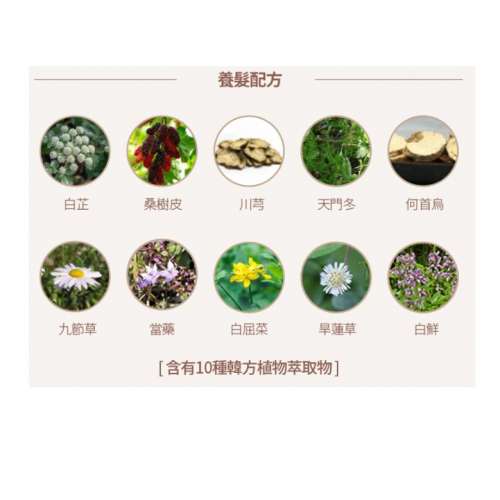 ATOMY 草本洗頭水/ 護髮素 (洗髮露/去頭皮/防掉髮) 韓國