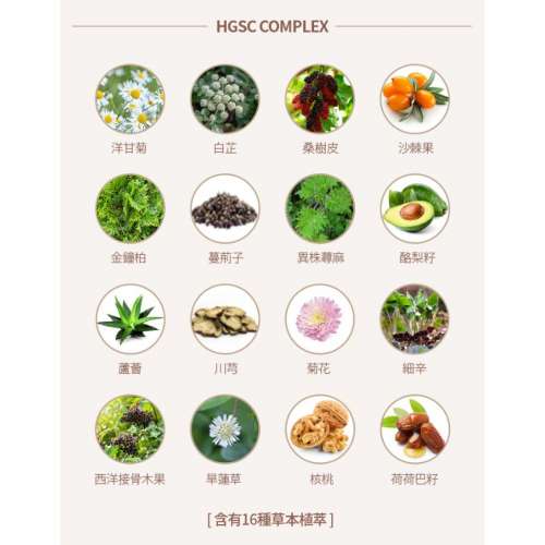 ATOMY 草本洗頭水/ 護髮素 (洗髮露/去頭皮/防掉髮) 韓國