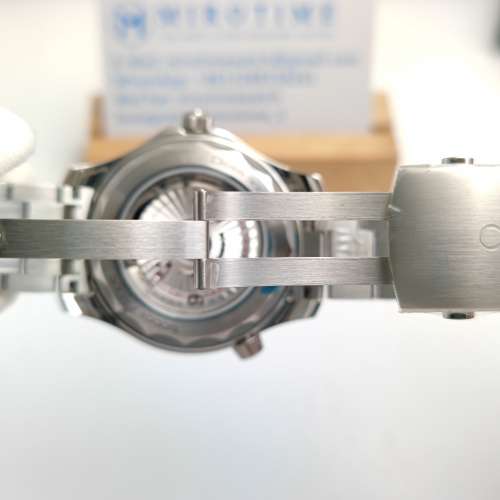 Seamaster Diver 300M SS Green Ceramic Green Dial watch