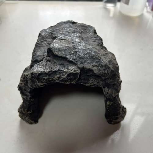 陸龜3寶 燈罩 山洞 水兜