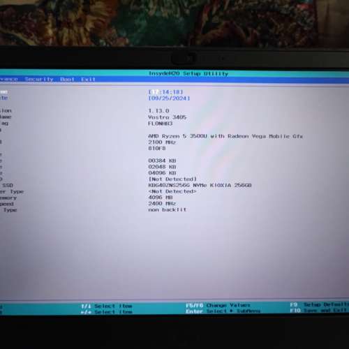 Dell Vostro 14 3000 14吋 (R5-3500U, 4+256GB SSD)
