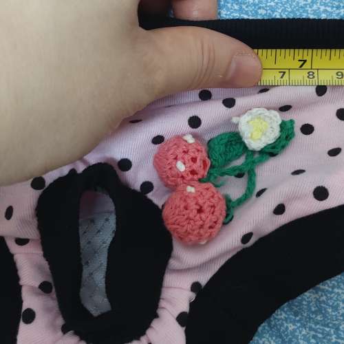 二手粉紅波點狗狗生理褲 安全褲 可水洗 母狗禮貌褲 狗仔褲 衛生褲 狗專用尿褲