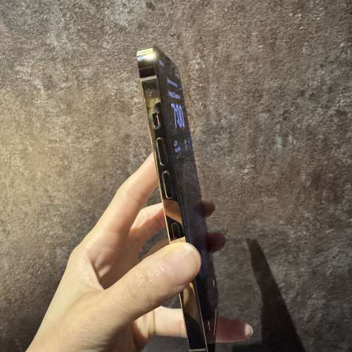 勁新 iPhone 13 Pro , 256g