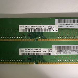 SK Hynix 8GB DDR4 2666MHz RAM 一對兩條 記憶體內存