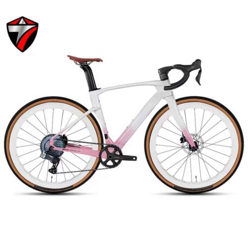 2024 新款 TWITTER GRAVEL V3 電變13速 桶軸碟剎碳纖維公路車 送水架前後蛙燈