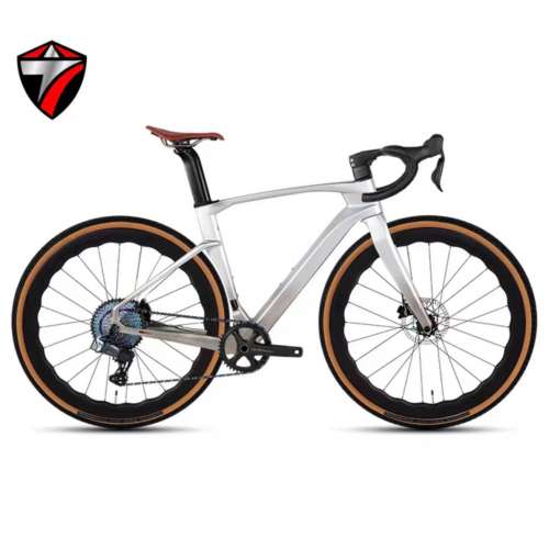 2024 新款 TWITTER GRAVEL V3 電變13速 桶軸碟剎碳纖維公路車 送水架前後蛙燈