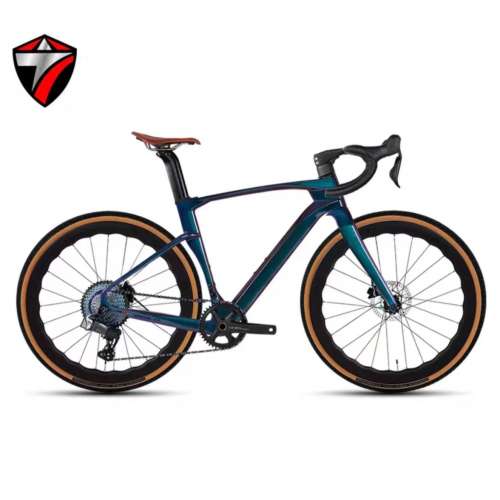 2024 新款 TWITTER GRAVEL V3 電變13速 桶軸碟剎碳纖維公路車 送水架前後蛙燈