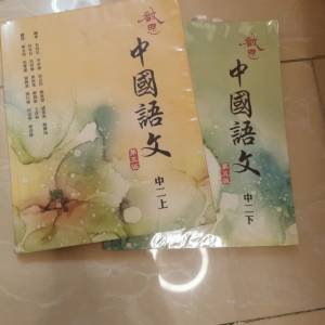 啟思中國語文中二上和下