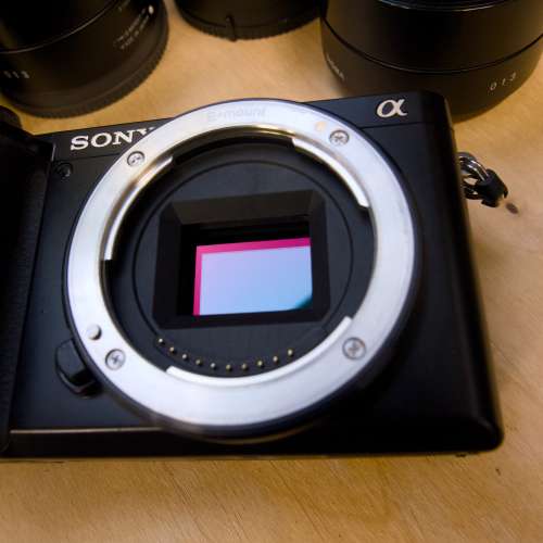 Sony A6100 + Sony E 18-135mm + Sigma 19mm, 30mm & 60mm