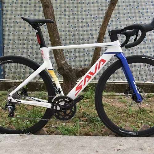 SAVA EX-7 20速 桶軸碟剎 碳叉鋁合金公路車 送水架前後蛙燈