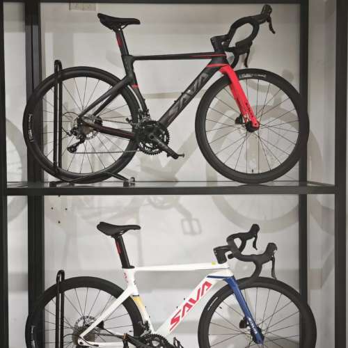 SAVA EX-7 20速 桶軸碟剎 碳叉鋁合金公路車 送水架前後蛙燈