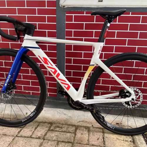 SAVA EX-7 20速 桶軸碟剎 碳叉鋁合金公路車 送水架前後蛙燈