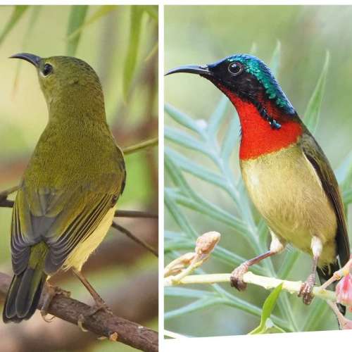 Panasonic Leica DG Vario-Elmar 1:4.0-5.6/100-400mm