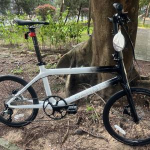 2024 最新款黑白色 DAHON ODB005 10速 碳纖維 451 折叠車 送前後蛙燈叮叮