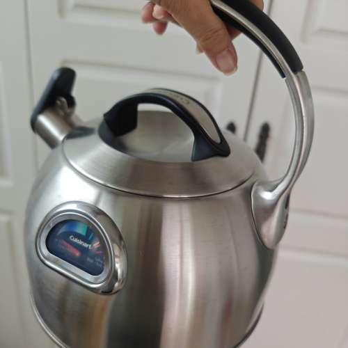Cuisinart Perfect temp kettle