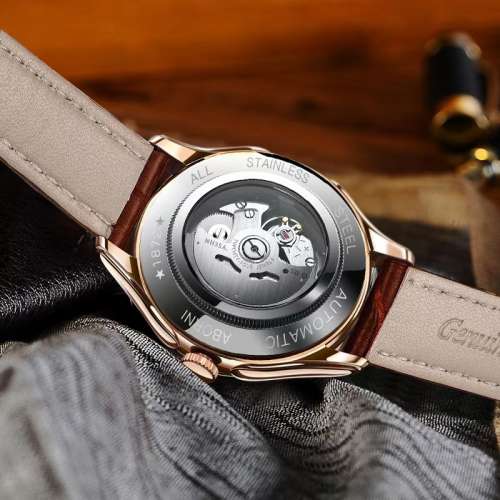 亞鉑尼品牌全自動機械表時尚雙面鏤空機械表防水夜光男士皮帶腕表