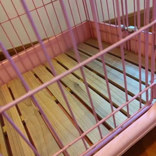 二手  寵物籠   調景嶺自取