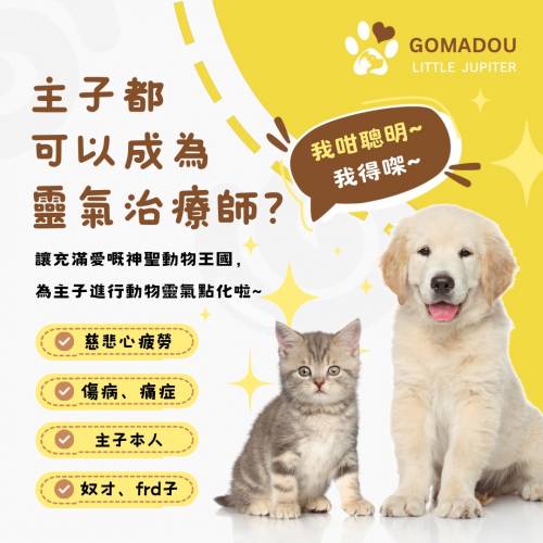 動物靈氣點化（只限毛孩）