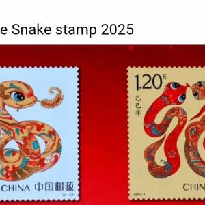 蛇票乙已 2025_