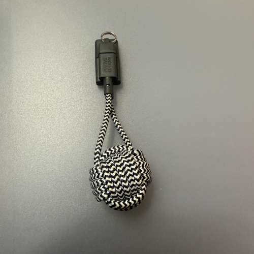 Native Union iphone充電線