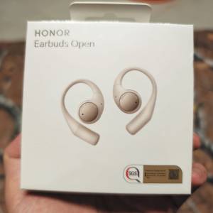 Honor Earbuds Open