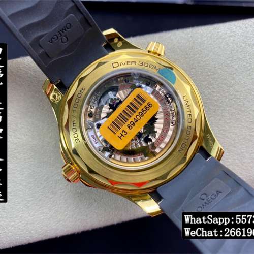 歐米茄Omega 海馬Seamaster系列  210.62.42.20.01.001 42mm VS