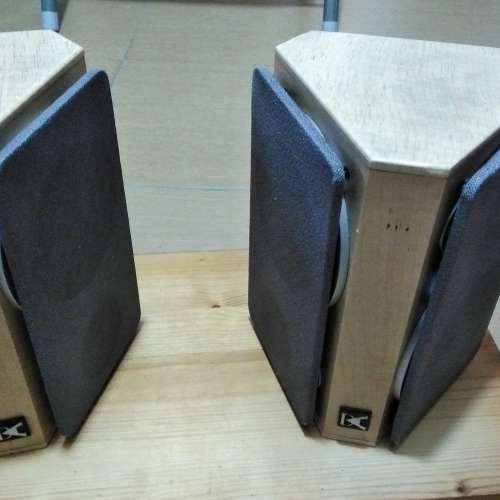 DK Bipolar Speaker